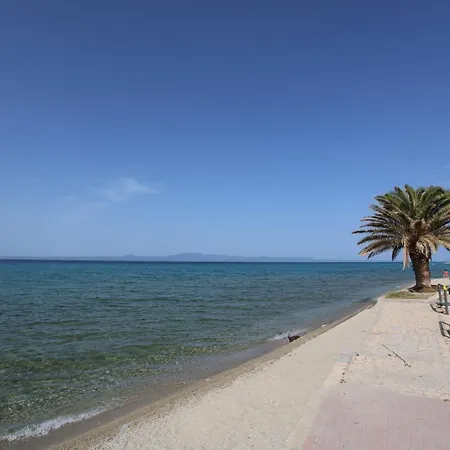 Mainavenue Palm Seaside