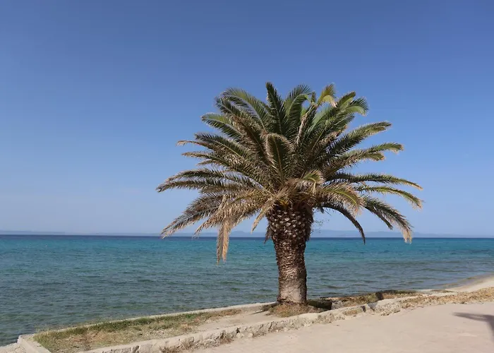 Mainavenue Palm Seaside * Polychrono