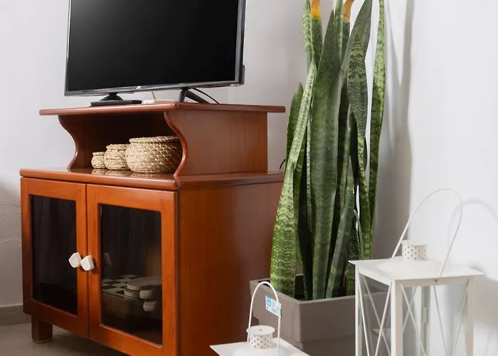 Vakantiehuis Mainavenue Palm Seaside