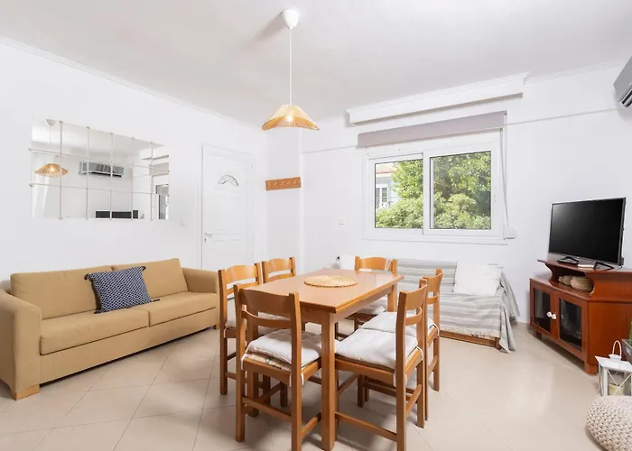 Mainavenue Palm Seaside Polychrono