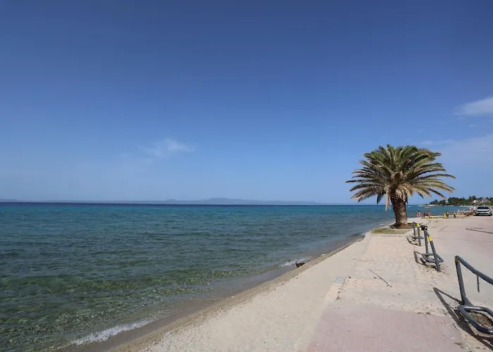 Mainavenue Palm Seaside