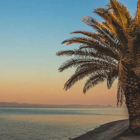 Mainavenue Palm Seaside * Polychrono