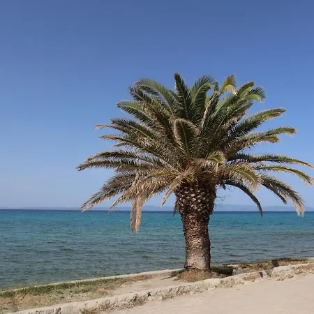 Mainavenue Palm Seaside * Polychrono